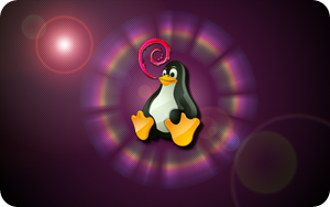 Guida all’installazione di Debian GNU/Linux: avvio del programma d'installazione.