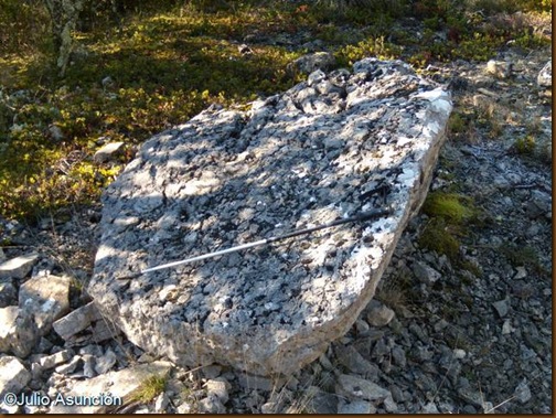 Megalito del dolmen de Puyomediano
