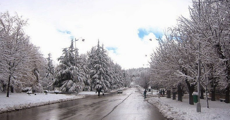 ifrane-the-switzerland-of-morocco-amusing-planet