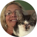 L & D Transport, LLC