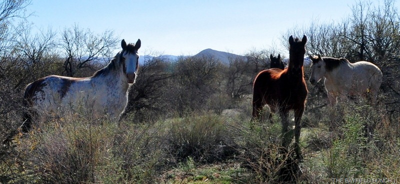 [DSC_0012%255B4%255D.jpg]