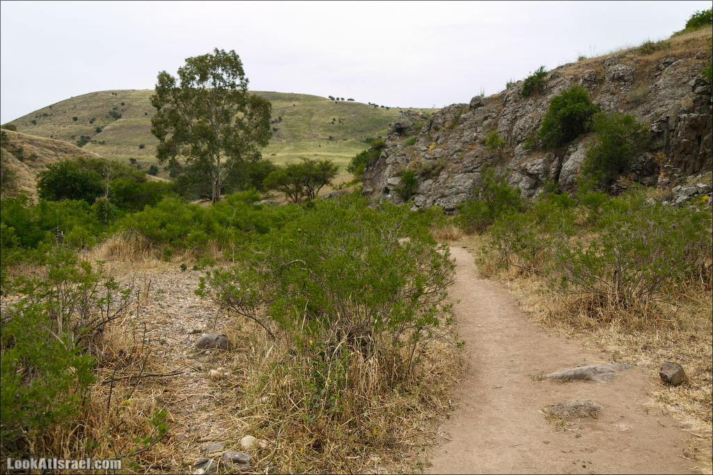 LookAtIsrael.com: Фото-блог о путешествиях по Израилю. Тель Авив, Иерусалим, Хайфа 