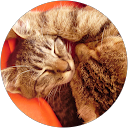 Image Google de Caroline H