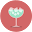 Ice into the Cup Download on Windows