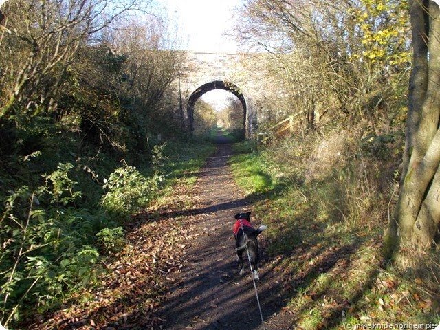 on the teesdale railway path near mickleton