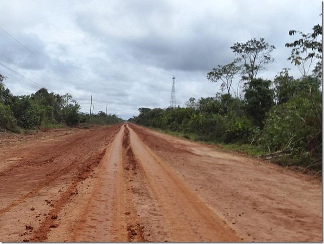 BR-319_Humaita_Manaus_Day_1_DSC05153