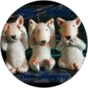 Image Google de Chantal Staat