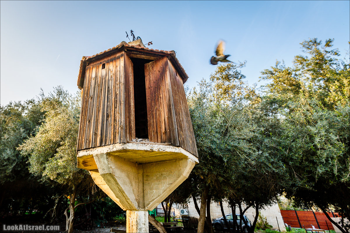 Менахемия - Козья Ферма Аз Из и медицинский музей Бейт ха-Рофе | Menahemia - As Is farm and medical museum | LookAtIsrael.com - Фото путешествия по Израилю | מנחמיה - חוות עז עיז ובית הרופא