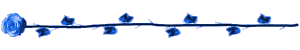 b11.png