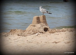 Guarding the sand castle