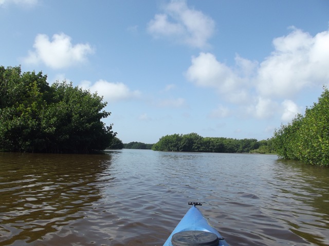 [CootBaypaddle0793.jpg]