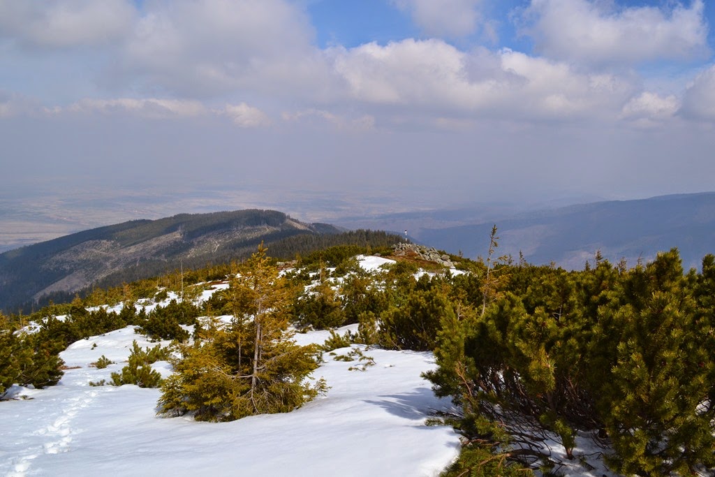 [DSC_65803.jpg]