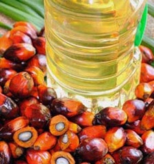 Olio di palma raffinato e frutti con semi visibili