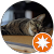 おじさんねこ おじさんねこ