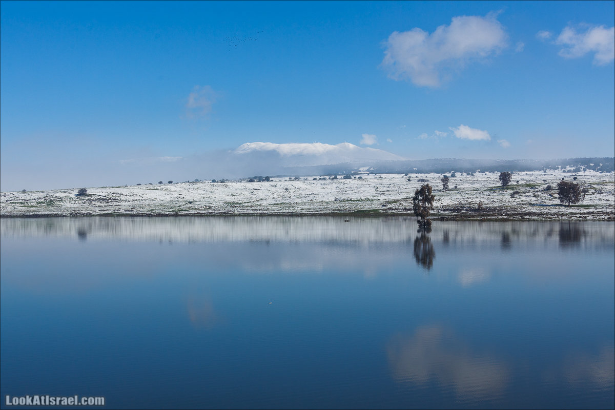 LookAtIsrael.com | Снег в Израиле, Голанские высоты и Галилея | Snow in Israel, Golan Heights and Galilee | שלג בישראל, רמת הגולן וגליל