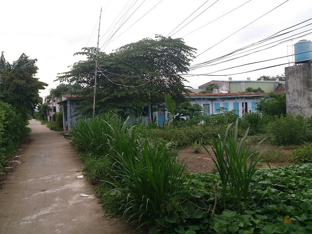 Bán đất thổ cư Ấp 7 xã Tân Thạnh Đông Huyện Củ Chi 02 Bán đất thổ cư Ấp 7 xã Tân Thạnh Đông Huyện Củ Chi 02