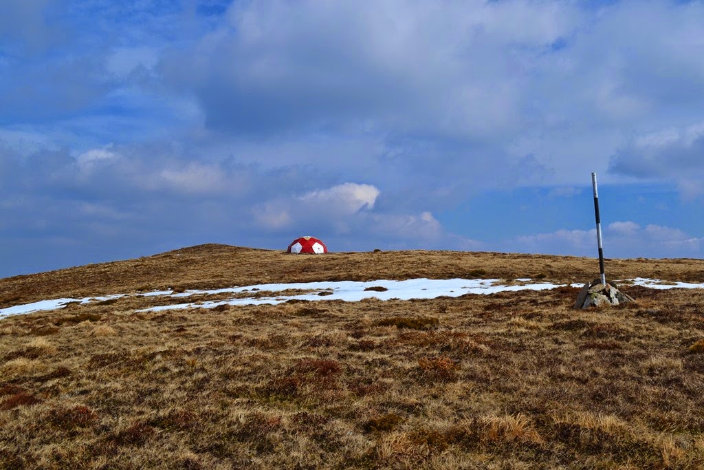 [DSC_66713.jpg]