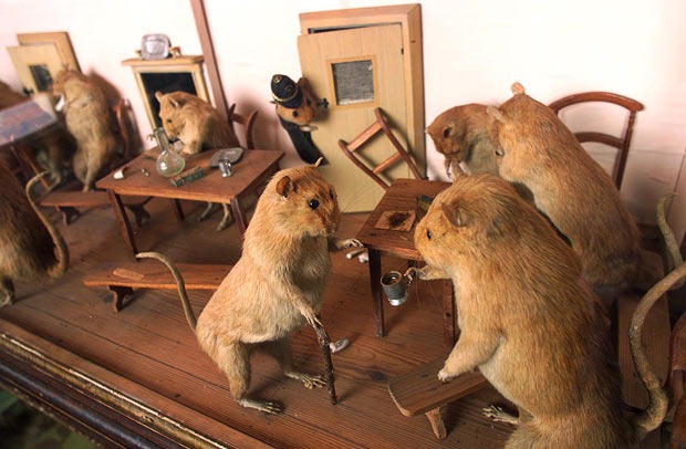 Walter Potter's Museum of Curiosities | Amusing Planet
 Walter Potter Squirrels