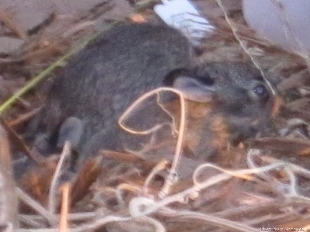 [020%255B9%255D.jpg]