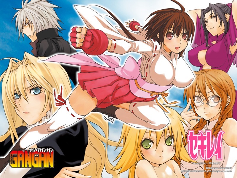 sekirei_manga