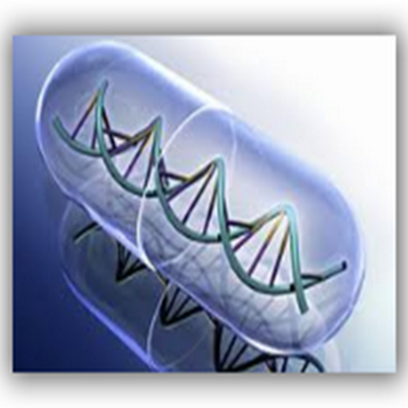 Bio Similar Drugs Are Not the Same as Generic Molecular Drugs And May Not End Up Being Cheaper For Consumers As Making Copies of Another Company’s Protein Without the Research Data Is Costly