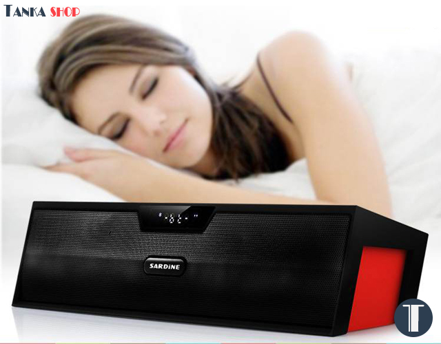 Loa bluetooth Sardine SDY-019