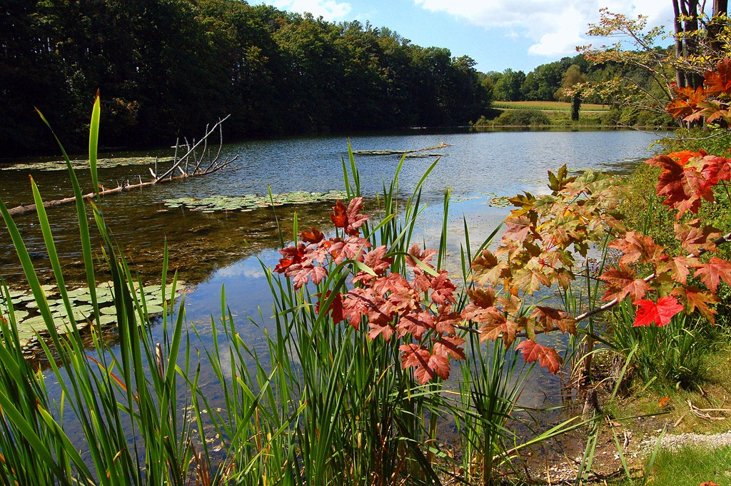 [DSC_0024%255B4%255D.jpg]