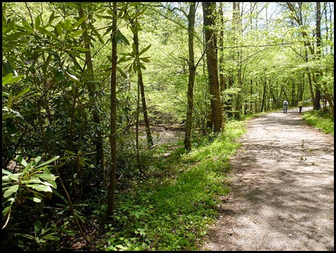 03 - Approaching Schoolhouse Gap Trailhead - The End