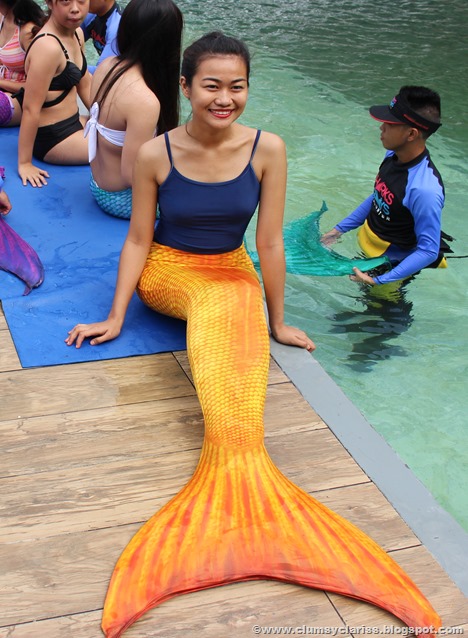 Clumsy Clariss Live Your Dream Swim Like A Mermaid At The Manila Ocean Park