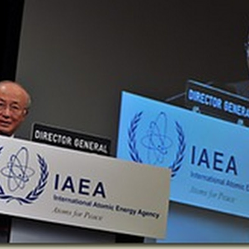 The IAEA As Meta-Regulator?