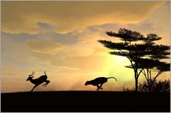 Gazelle Hunt -