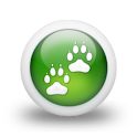 ZooBorns logo