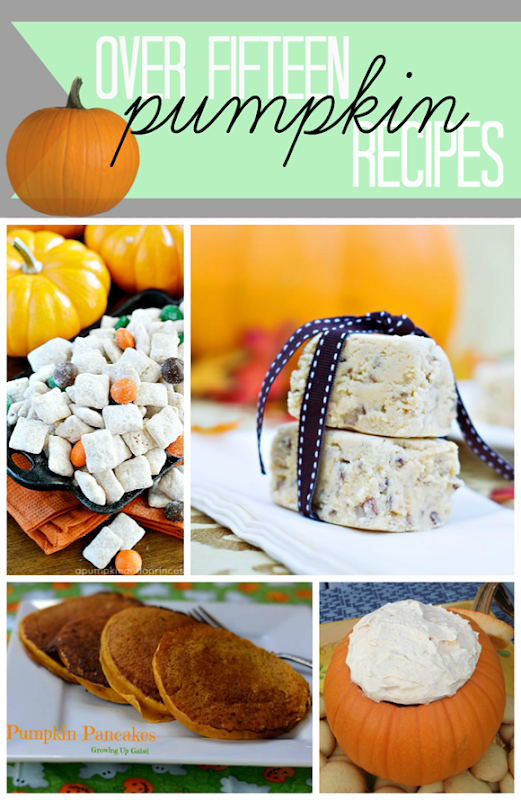 Over 15 Pumpkin Recipes at #gingersnapcrafts #pumpkins #recipe #features #fall