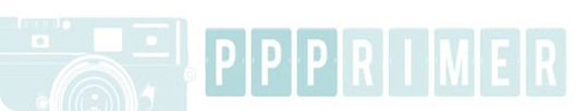 ppp button 500