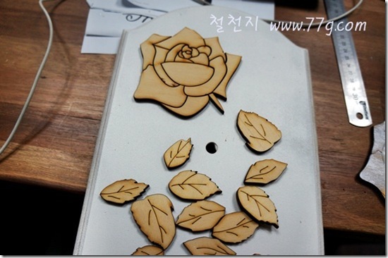 철천지DSC06191-20130115-155836[1]