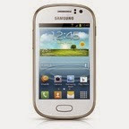 Samsung Galaxy Fame S6810 White