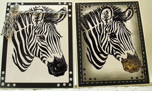 Gentle Zebra 2013  b