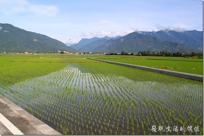 台東縣池上鄉稻田中山巒的倒影。蓊翠的稻秧正式孕育出池上鄉優質好米的地方。