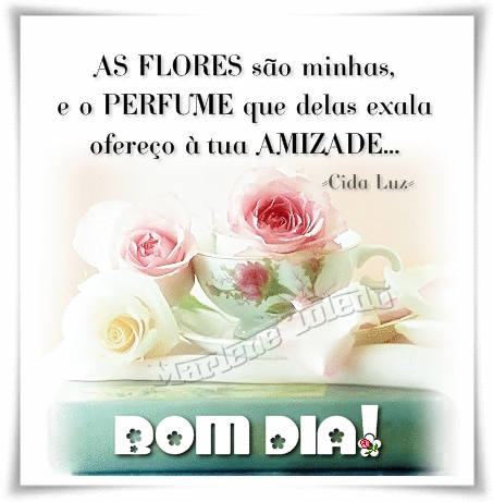 CidaLuz-flores.jpg