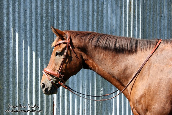 Dream Horse Studios Pirouette Snaffle Bridle