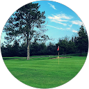 Maurice Fallon profile picture