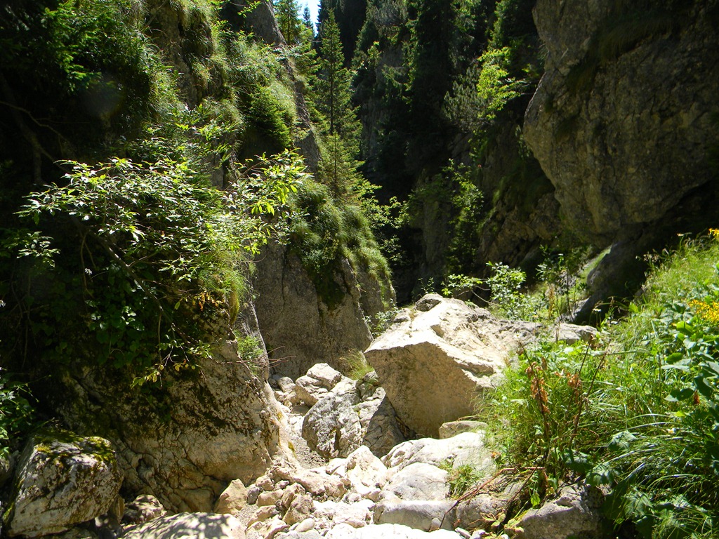 [DSCN14443.jpg]