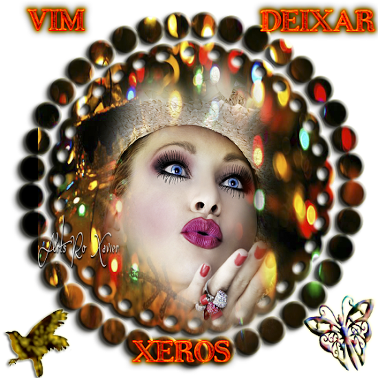 deixar+xeros.png