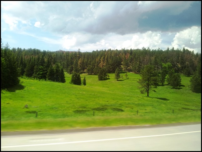 20130624_142954 - Kopie 20130624_142954 - Kopie