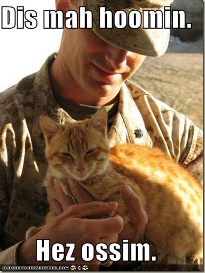 funny-pictures-orange-cat-loves-soldier