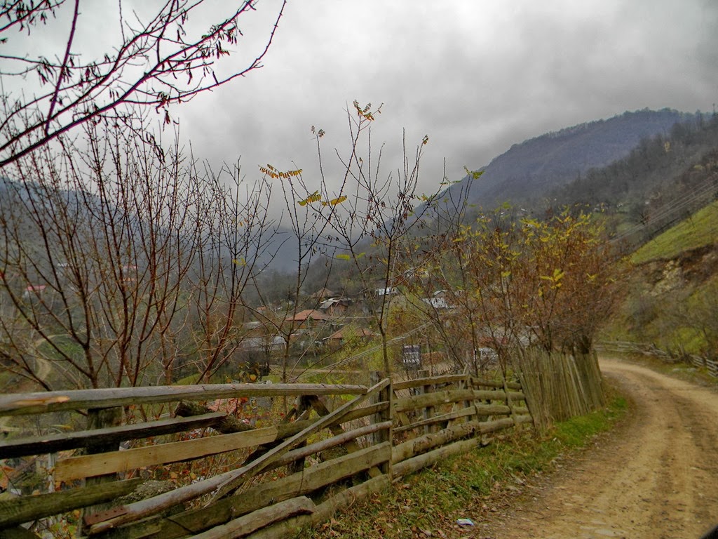 [DSCN91843.jpg]