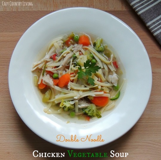 Double-Noodle-Chicken-Vegetable-Soup