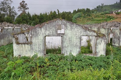 DSC_0549.JPG