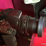 IMGP2826.jpg