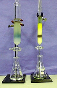 gel filtration chromatography